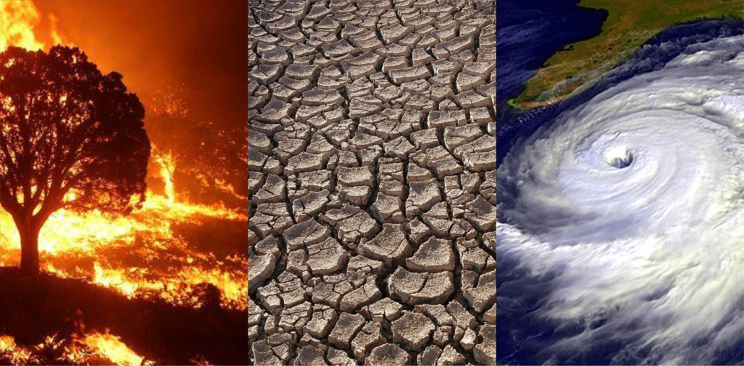 Featured image for “Climate Change”