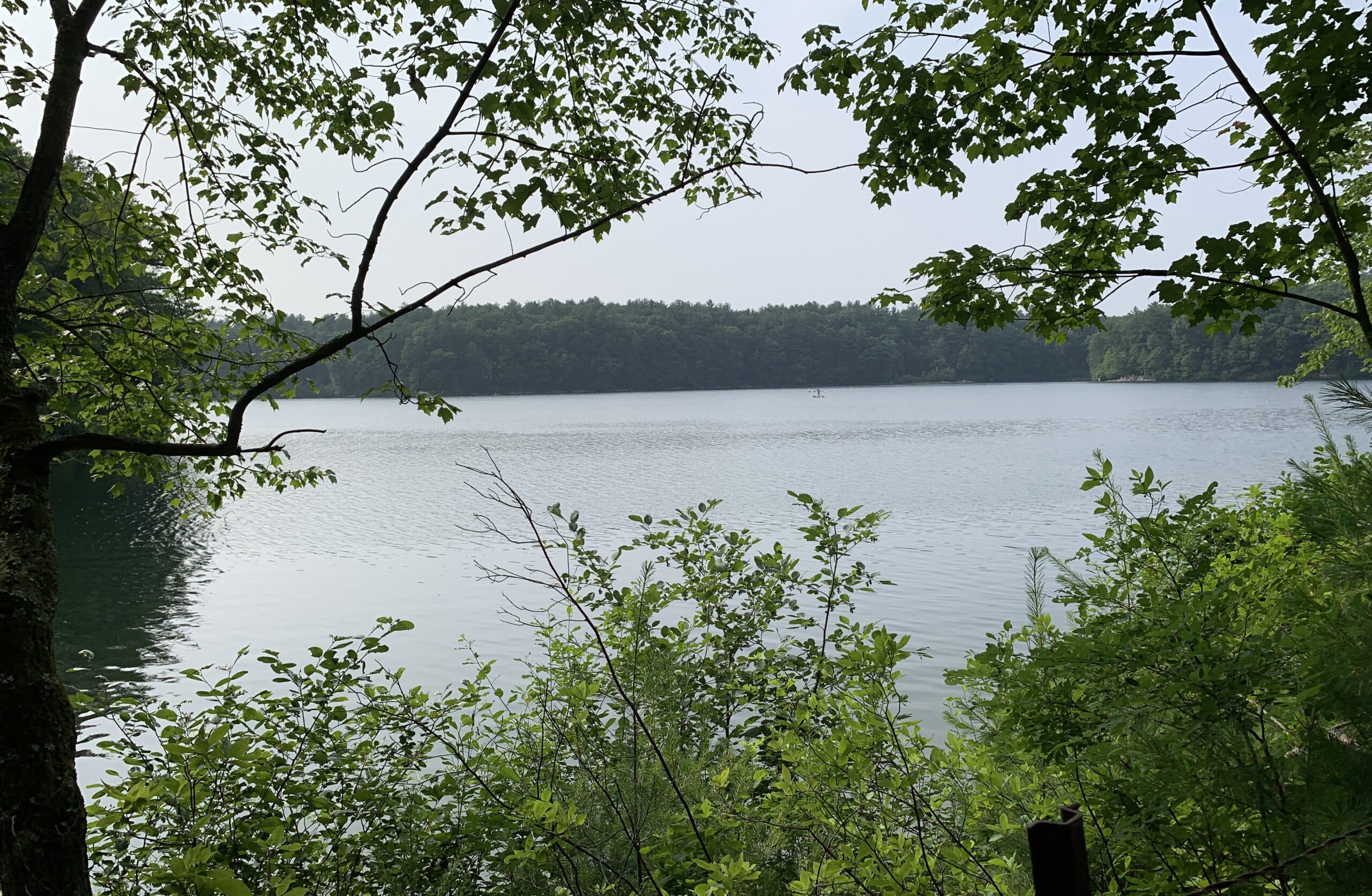 Featured image for “What Thoreau Still Asks of Us”