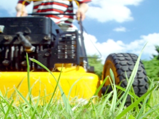 Featured image for “Lawnmower Man”